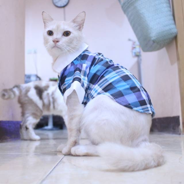 Tuxedo tanpa dasi motif kotak-kotak biru untuk kucing dan anjing / baju kucing murah size S M L XL