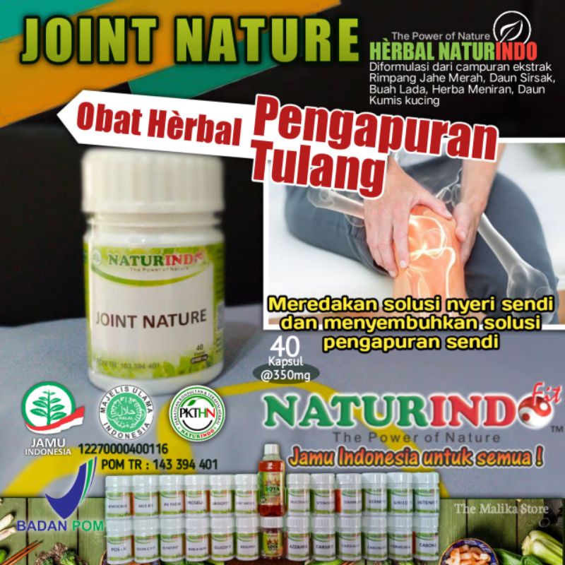 Joint Nature Obat Herbal Nyeri Sendi