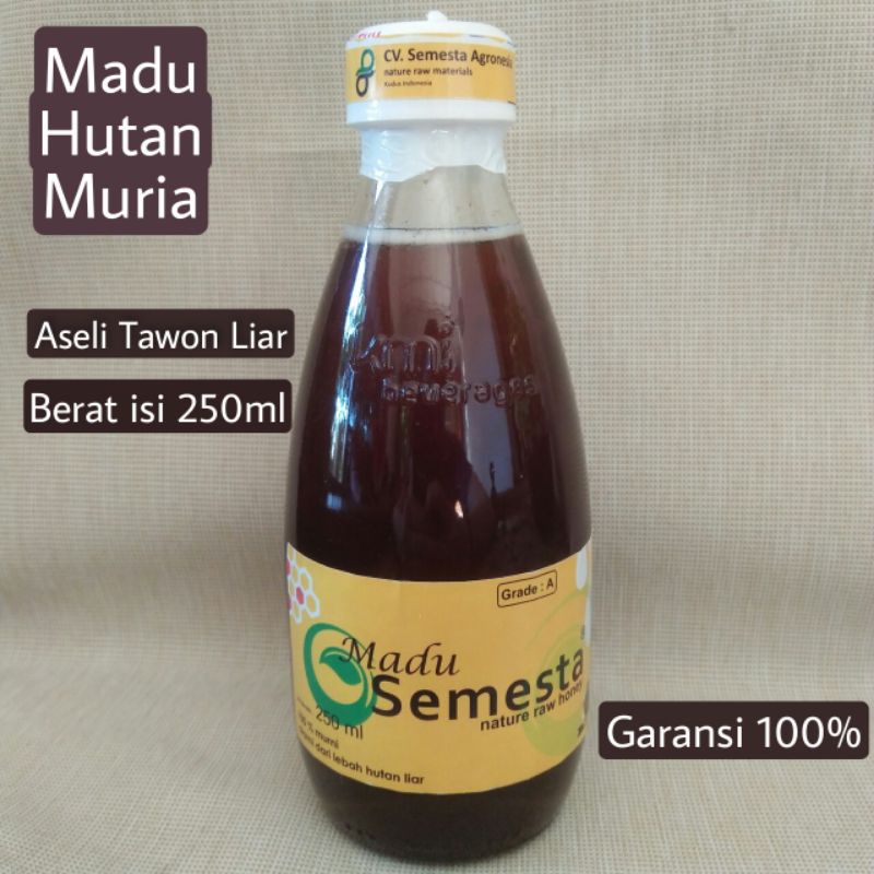 

madu hutan liar-madu asli-madu murni-madu semesta-madu muria