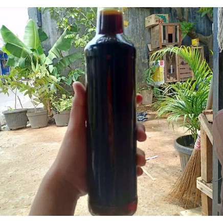 

madu asli klanceng hitam 1kg madu murah klanceng jakarta