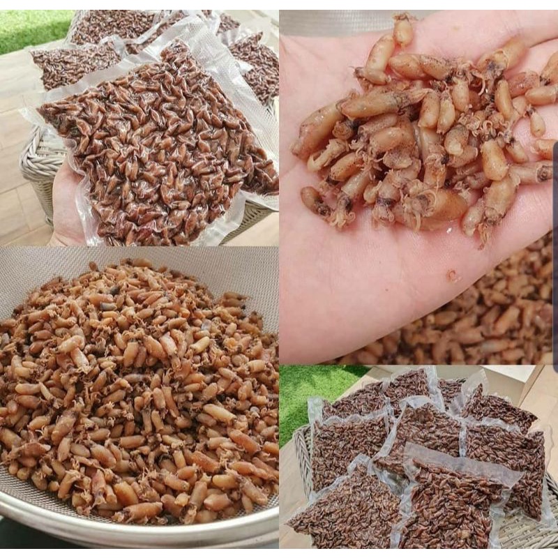 

Baby Cumi Non Telor 500gr