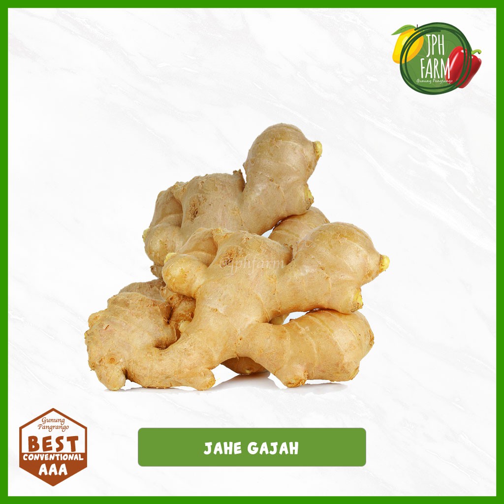 

Jahe Gajah, Ginger 500g