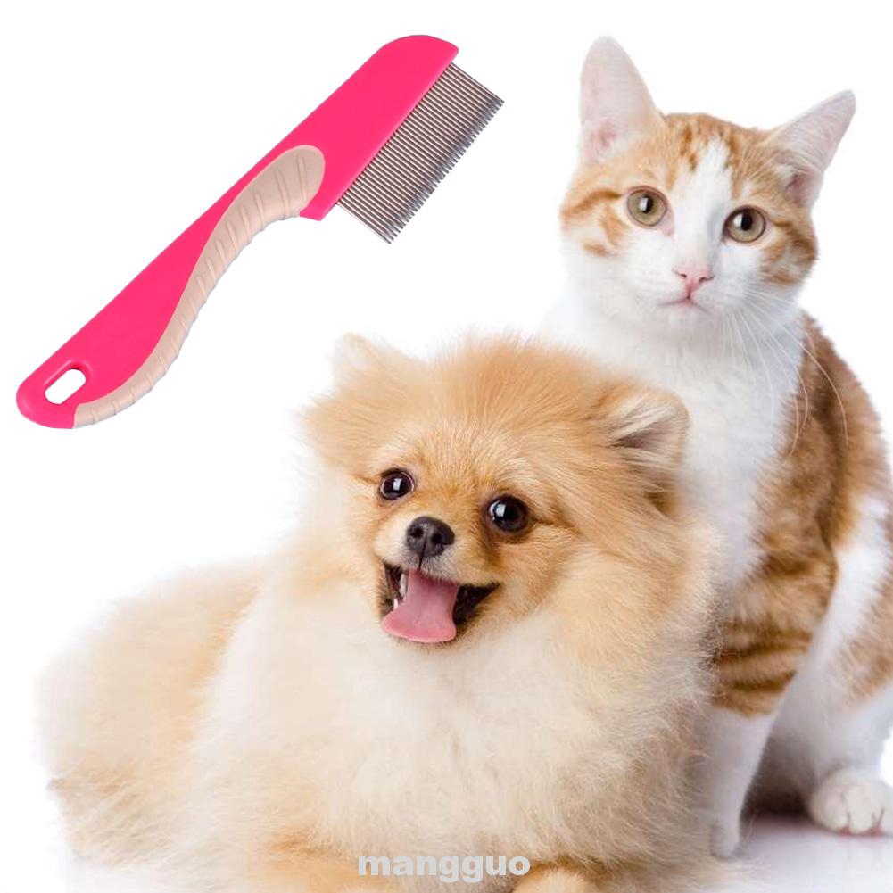 dog grooming for fleas