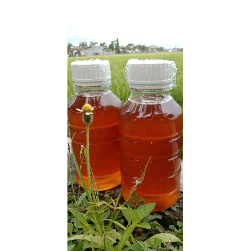 MADU ASLI / MADU HUTAN ASLI /MADU MURNI /MADU BERGARANSI