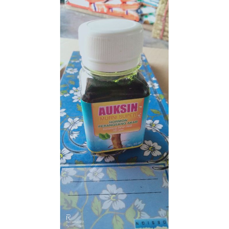 HORMON AUXIN MURNI