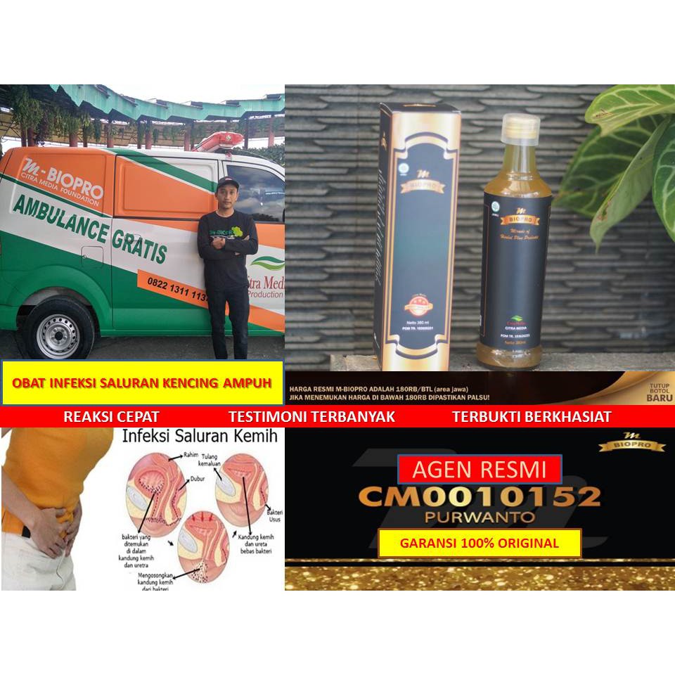 Obat Uhntuk Infeksi Saluran Kencing | Obat Infeksi Saluran Kemih | Herbal Infeksi Saluran Kenci