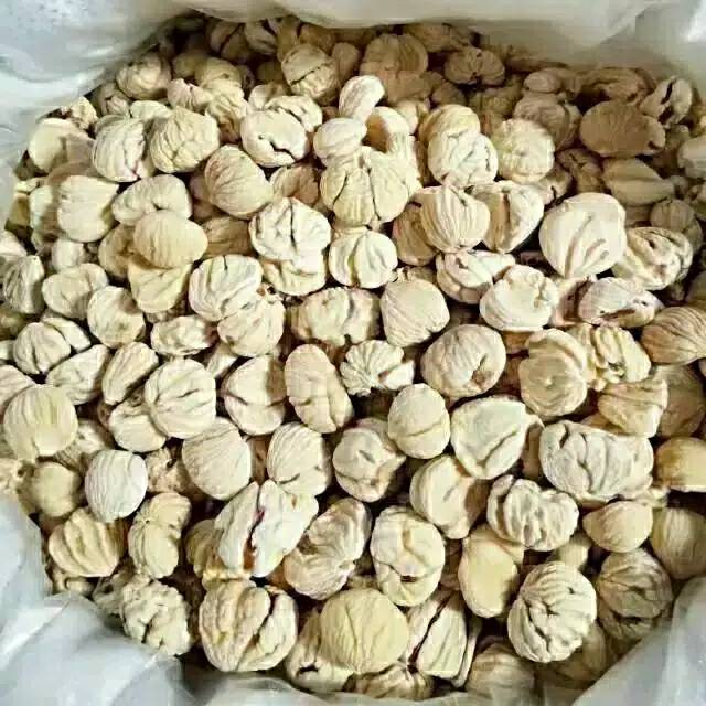 

Lakci / chestnut kemasan 100gram