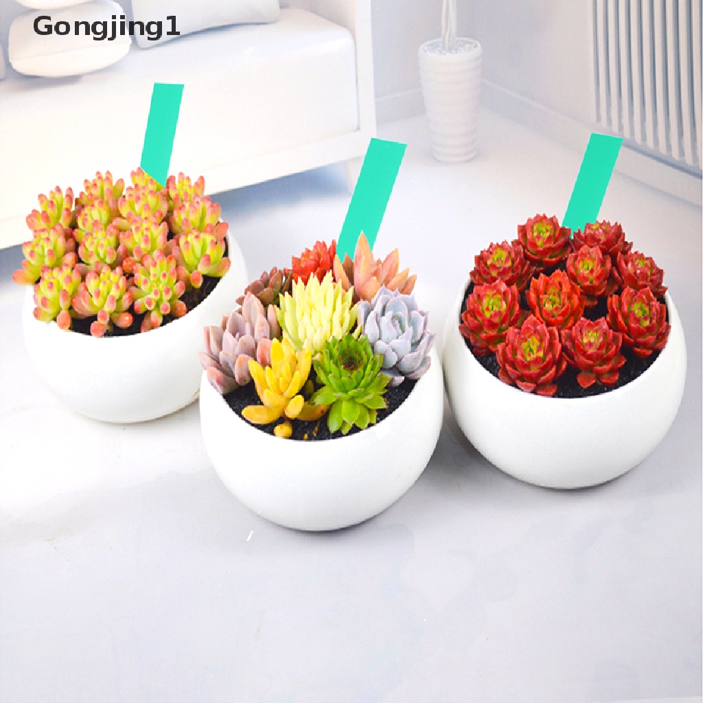 Gongjing1 50pcs Label Penanda Pot Tanaman Bahan Plastik