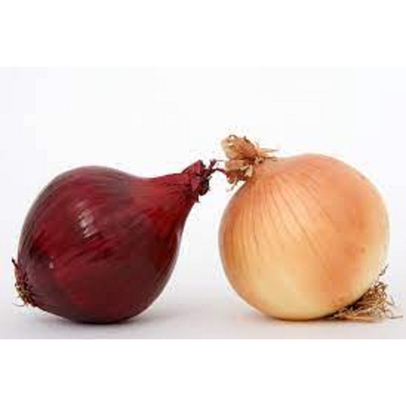 

Bawang Bombay Bombay Merah Ukuran BESAR 1 KG
