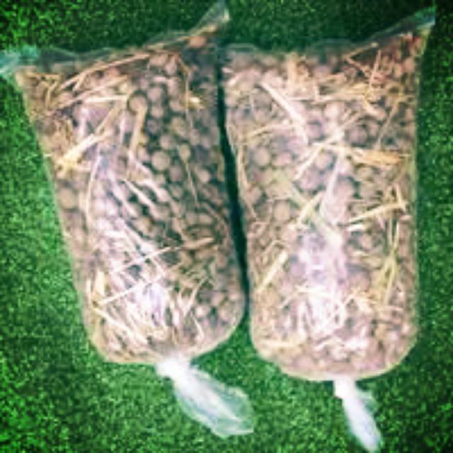 Pupuk Fases Kotoran kelinci