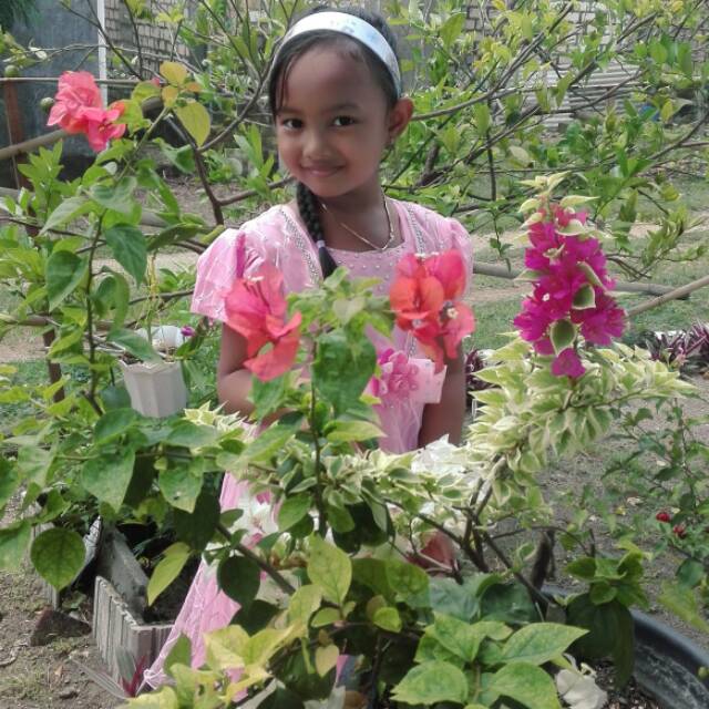 indah.santoso