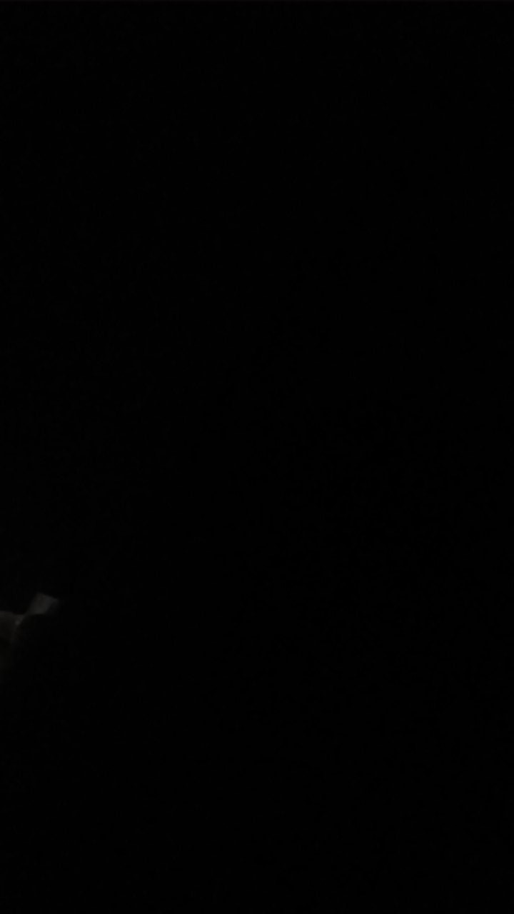 Baskom Abu Abu No 2 25cm