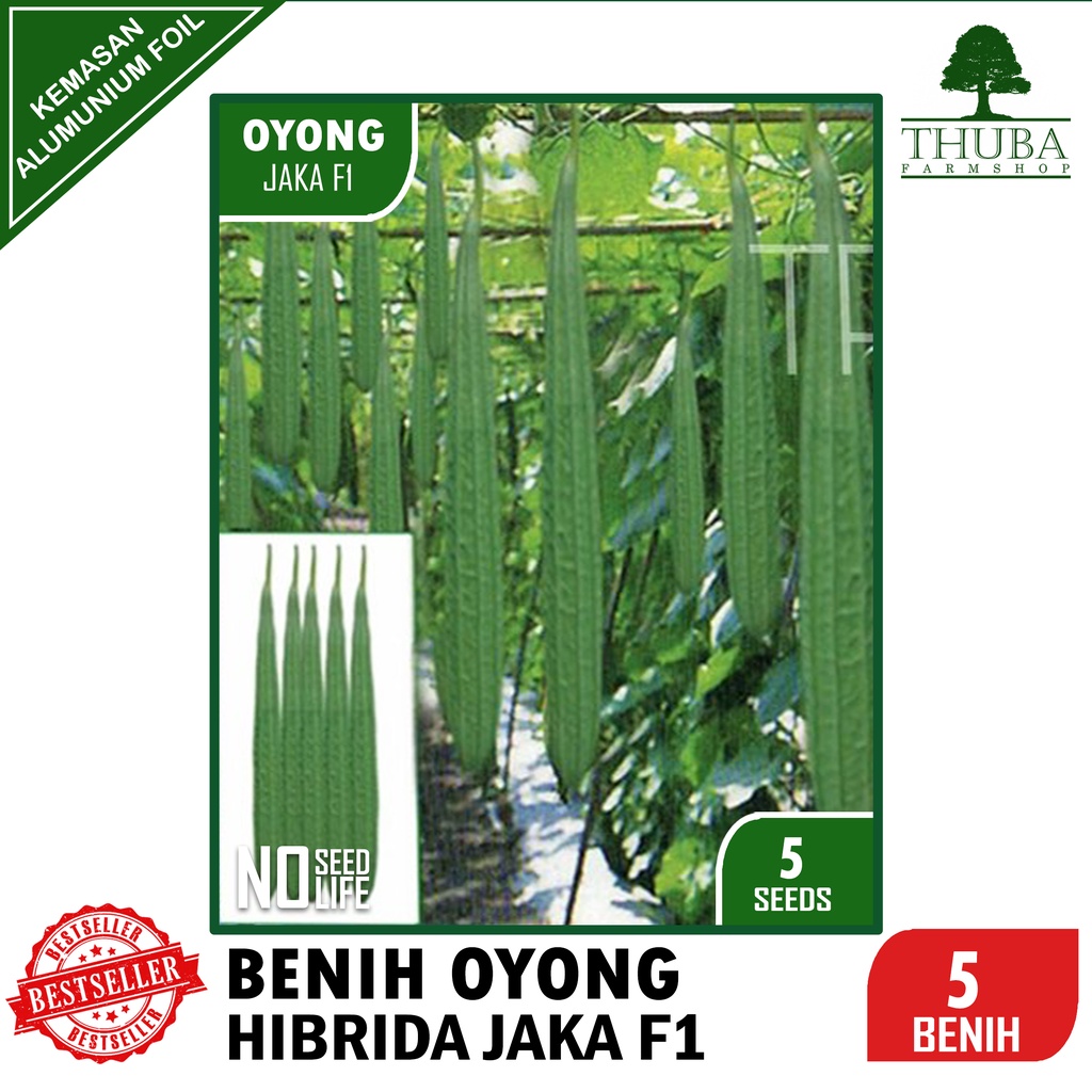 5 Biji - Benih Oyong Hibrida Jaka F1 - Bibit Oyong / Gambas Berkualitas