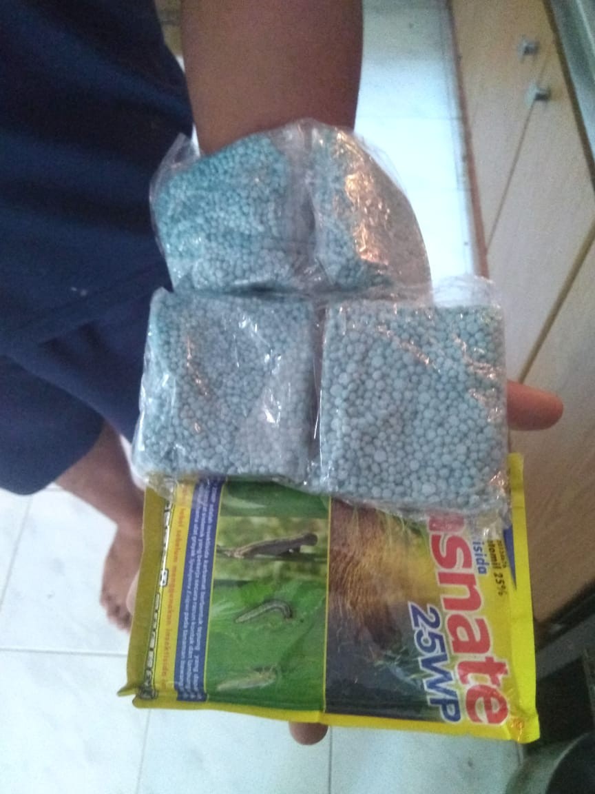 Obat Pertanian Membasmi Semut, Kutu Daun Dan Ulat 25wp