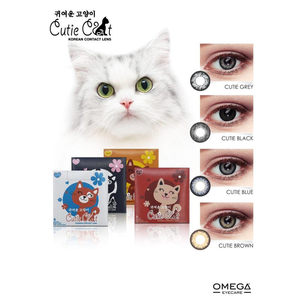 SOFTLENS CUTIE CAT