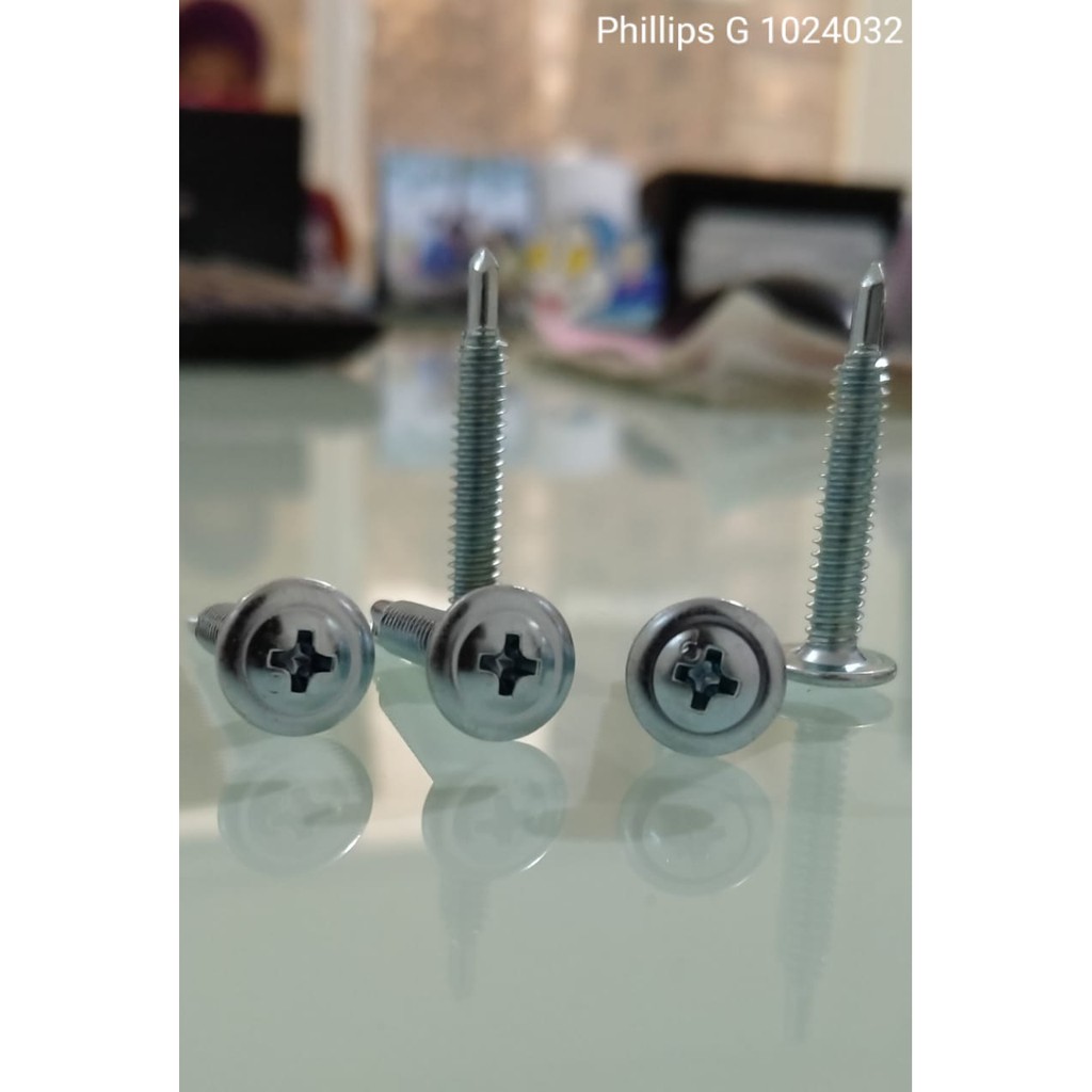 SKRUP ACP TRUSS MODIFIED PHILLIPS G 102432 P (500 PCS) - MERK GLOBAL