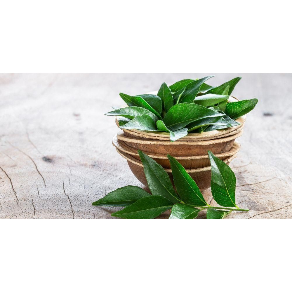 

KIRIM INSTANT Daun Kari 10 gram / pack