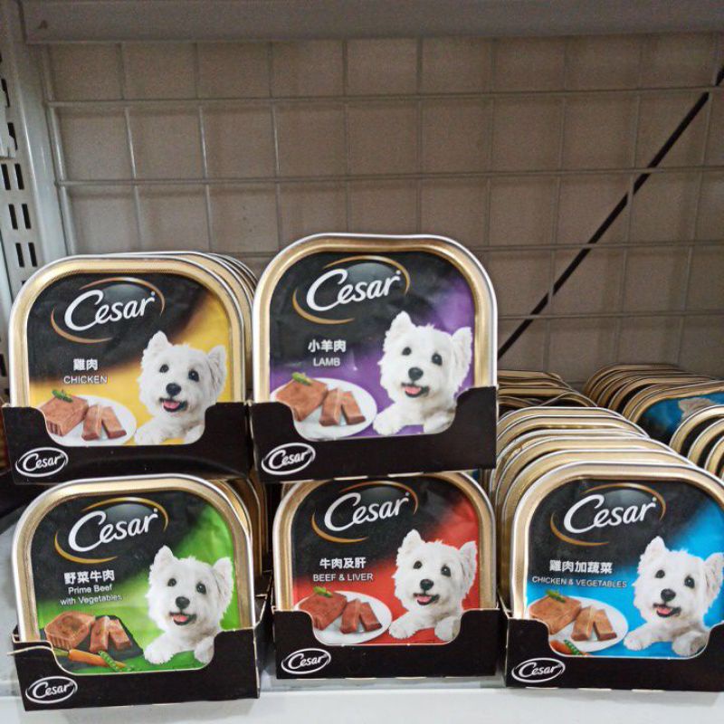 cesar all varian dog food | makanan anjing basah