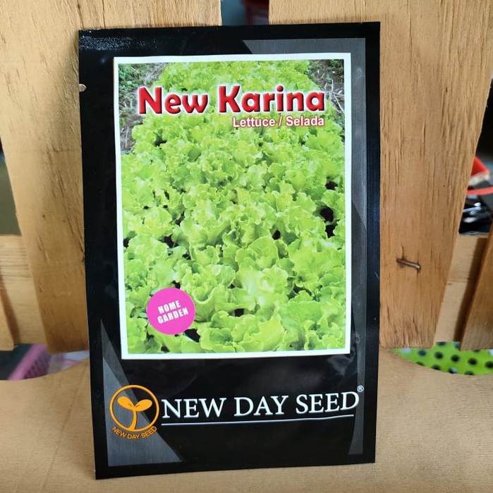 NDS - benih SELADA HIJAU NEW KARINA isi 2 gram - benih selada keriting - new day seed