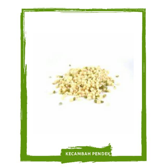 

Cambah / Kecambah / Tauge Pendek / Sayur Sayuran Segar By Mallahrizwa