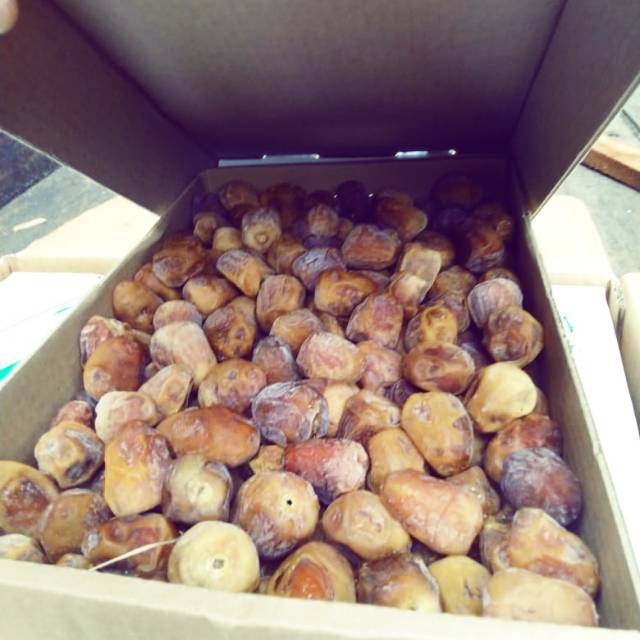 

Kurma SUKARI Basah Fress 3KG