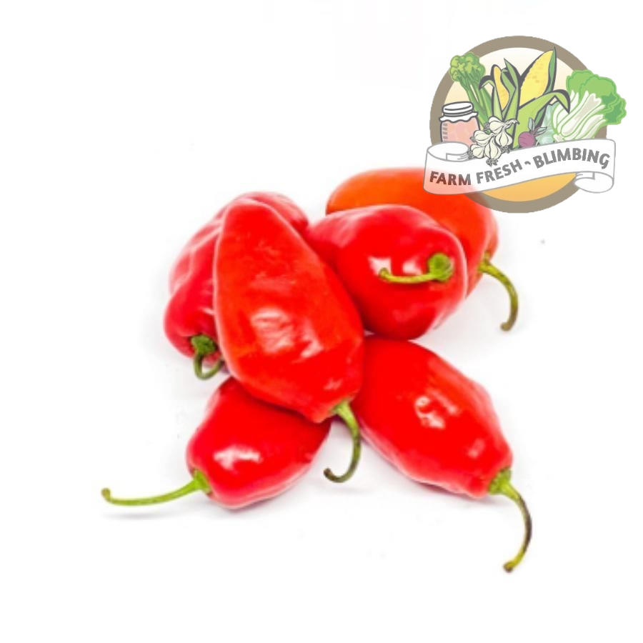 Cabai Gendot Merah 1kg