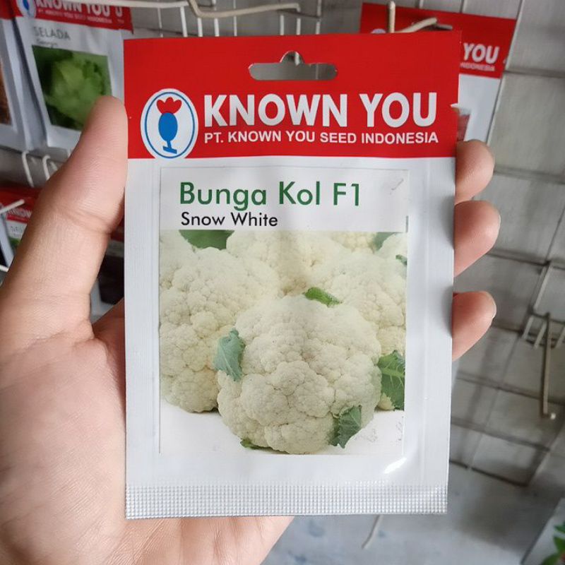 Benih Bunga Kol Snow White F1 Isi 140bj