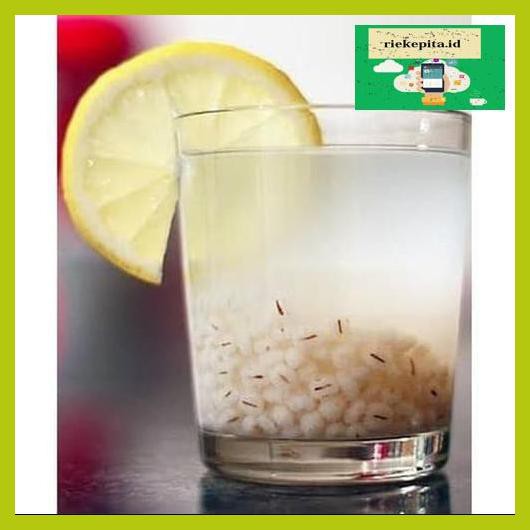 

5Yer67R- Biji Jali-Jali Pearl Barley Biji Jali Khasiat Buat Kesehatan 200G T7Rty67-