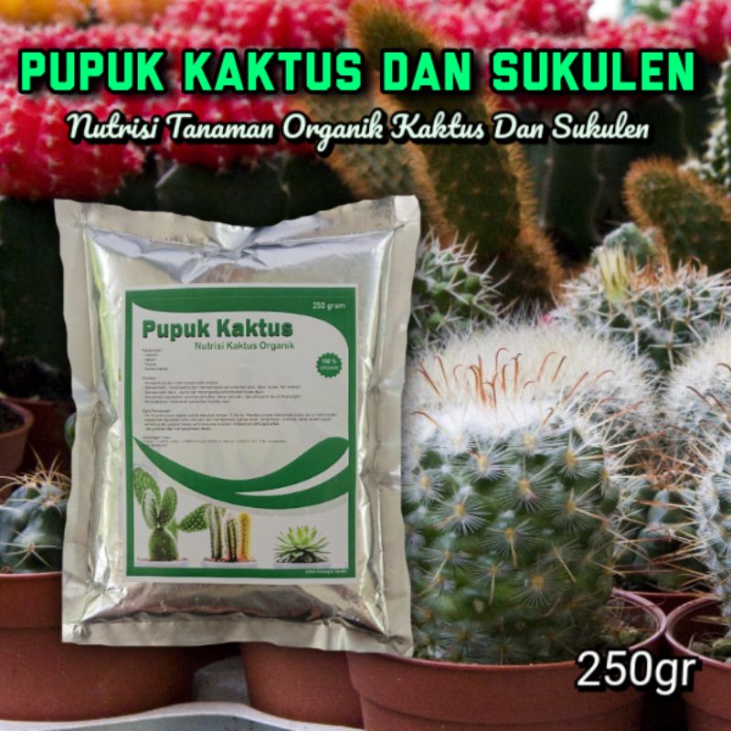 pupuk kaktus dan sukulen terbaik cocok untuk segala jenis sukulen  kaktus import mini cepat beranak 