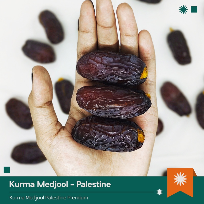 

Kurma Medjool Palestine 5KG / Kurma Medjol Palestine Jumbo Premium / Kurma Medjol Palestine