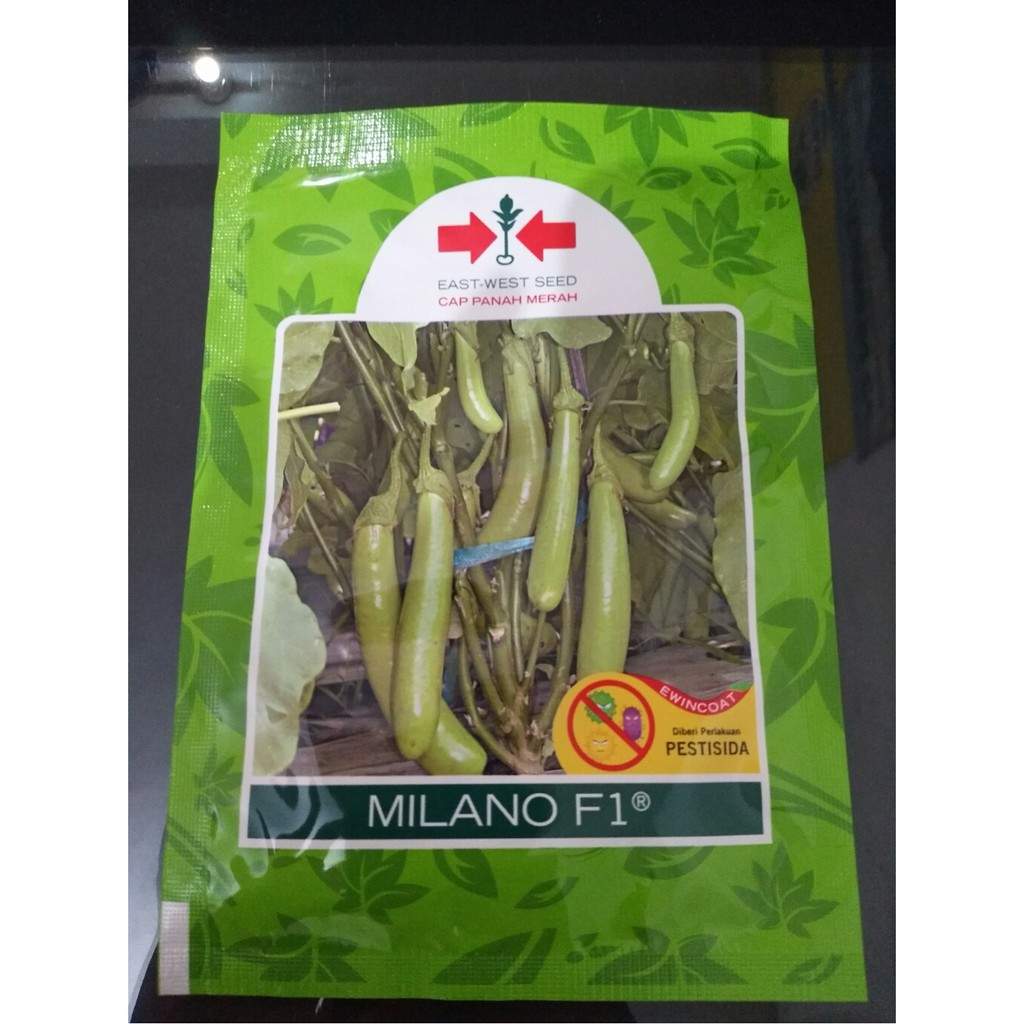 Benih Terong Hijau Milano F1 1100 butir