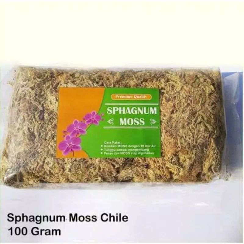 Sphagnum Moss media tanam anggrek