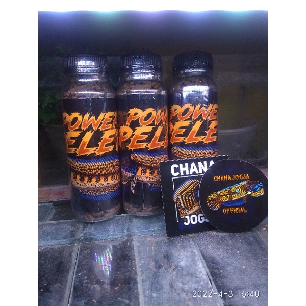 Power pelet original chana jogja