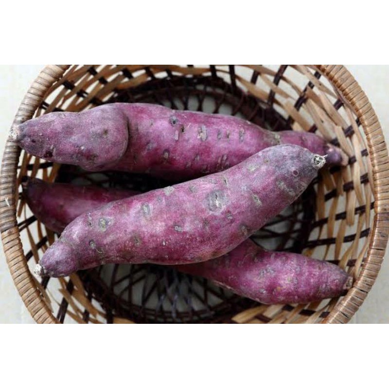

Ubi/Ketela Ungu