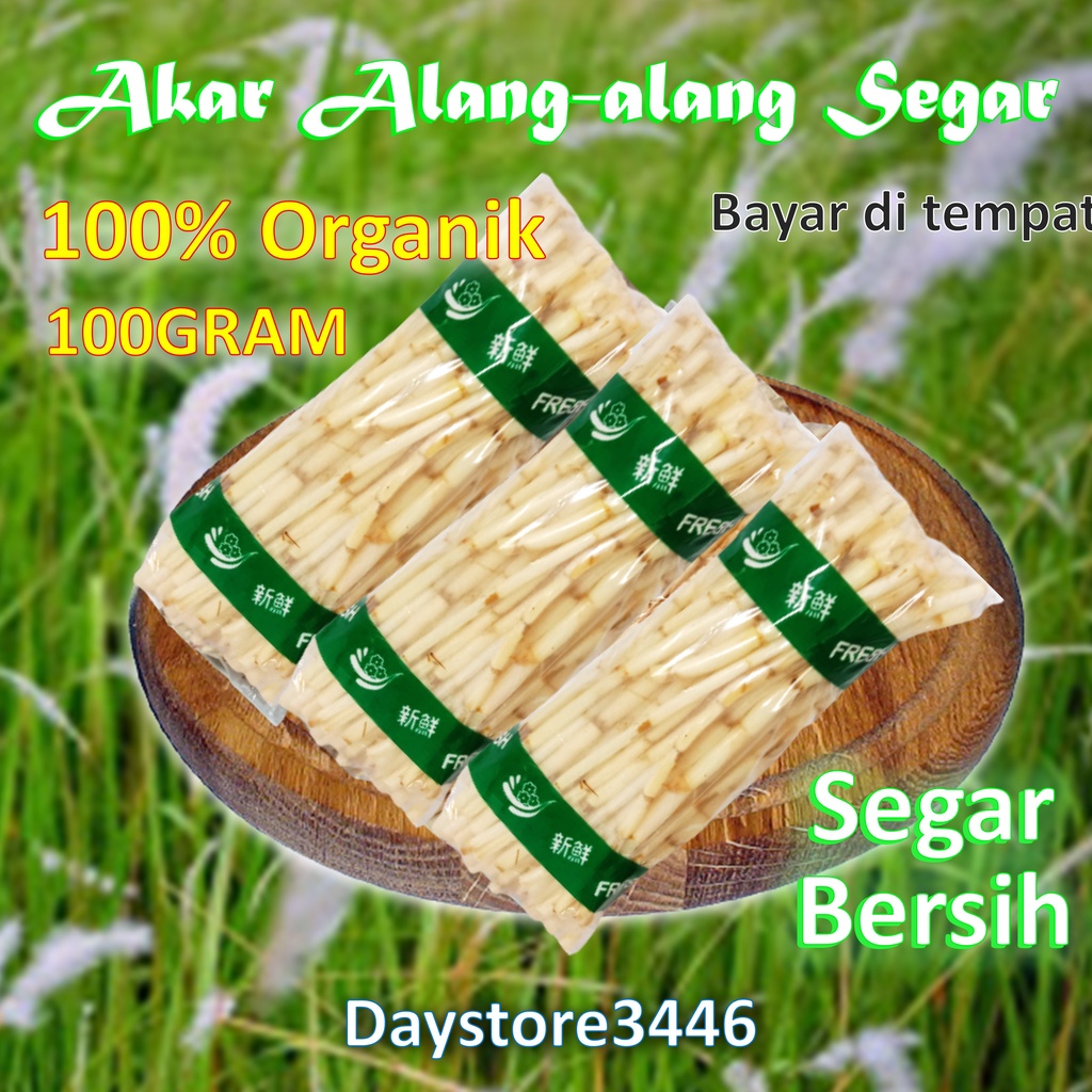 

Akar Alang - Alang Fresh 100 gram (tidak kering)