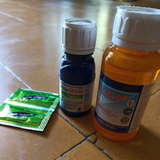 Fungisida Filia 525se 50 Ml