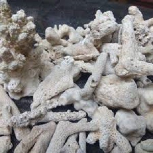 Karang Jahe 1 Karung 10 Kg Batu Media Filter Aquarium Kolam Ikan Murah