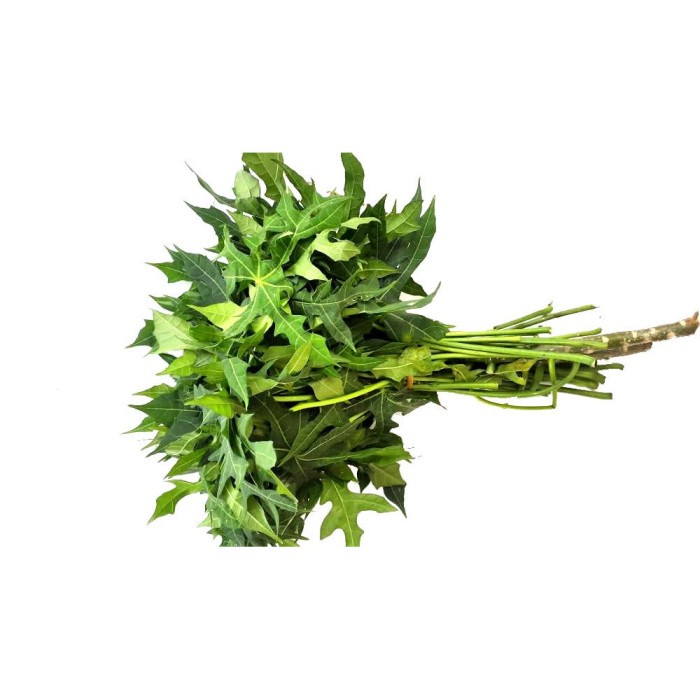 

daun pepaya jepang per ikat