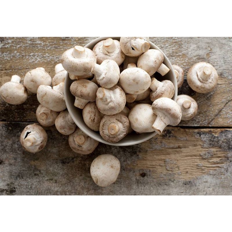 

Jamur Kancing 250g