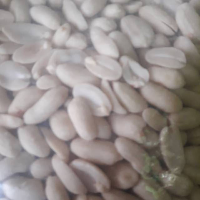 

Kacang kupas super