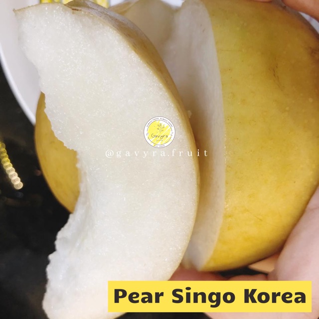 

Pear Singo Korea (1 pcs, 500-600)