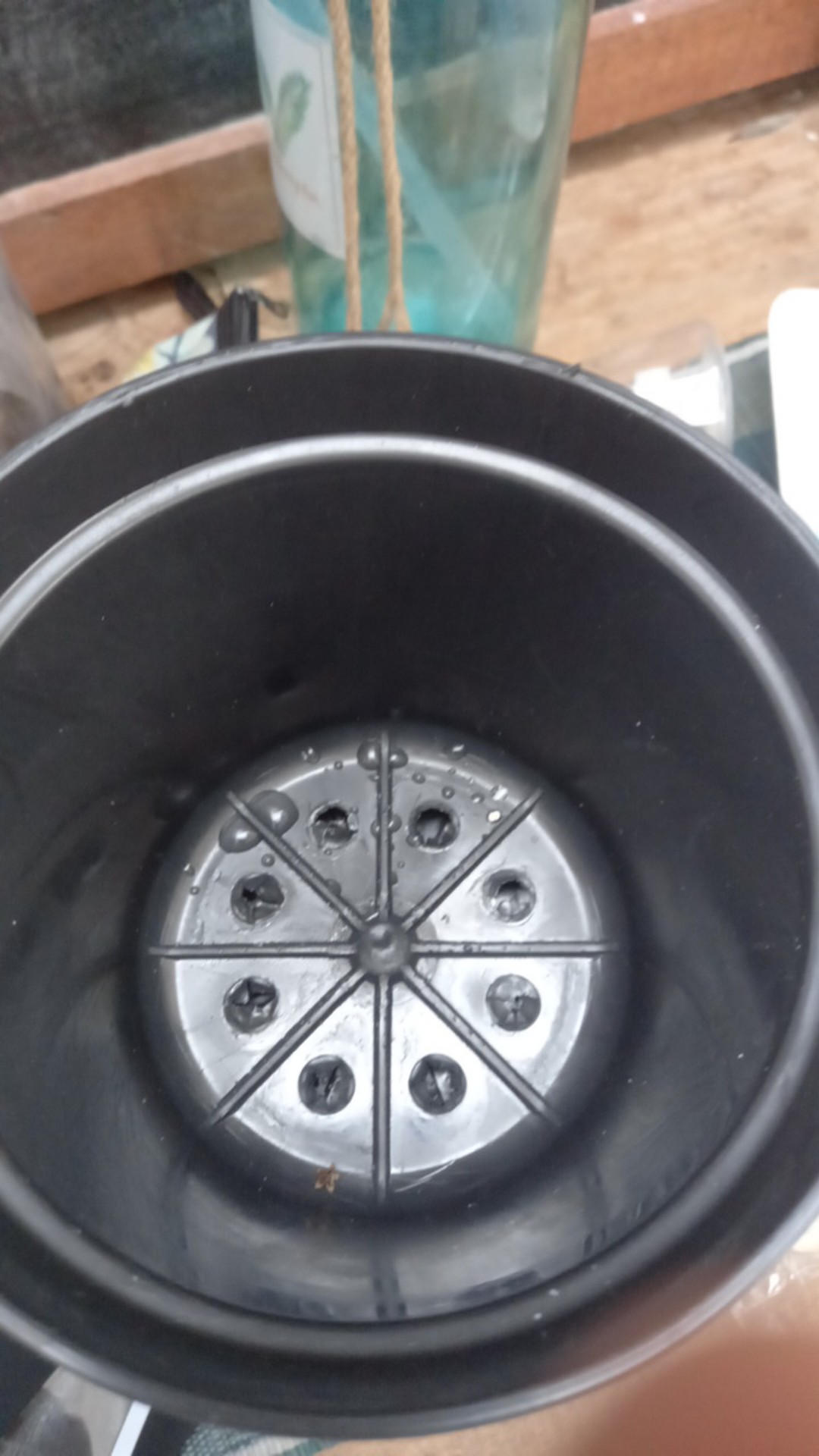 Pot Bunga Tanaman 15 Cm Hitam Merek Made Indonesia Free Bubble Ketentuan Berlaku