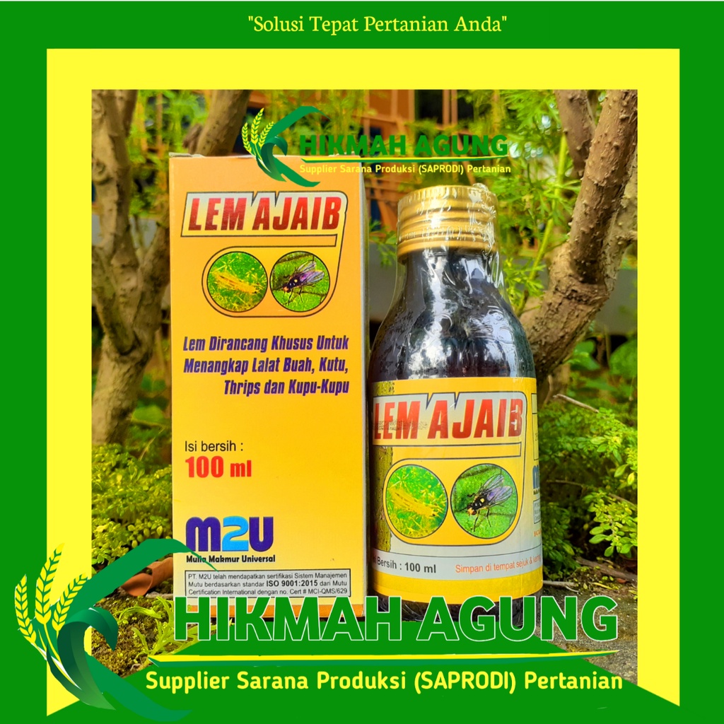 Jual Lem Ajaib Ml Perangkap Untuk Lalat Buah Shopee Indonesia