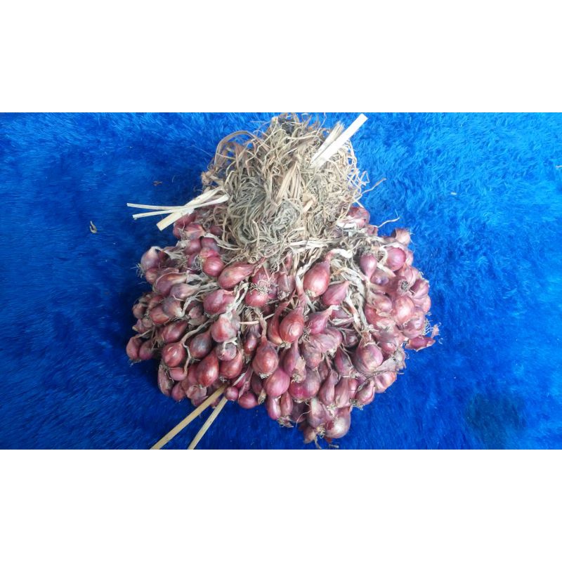 

BAWANG MERAH SEGAR 1 KG - ASLI BREBES SENTRA BAWANG MERAH BERKUALITAS - AWET