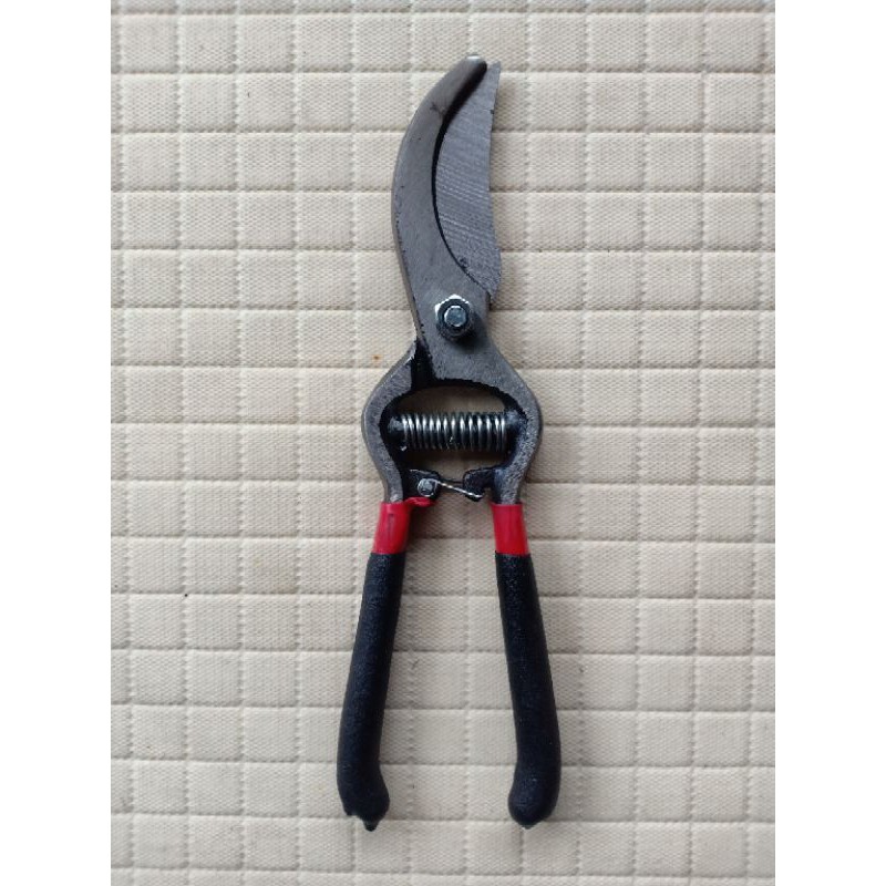 GUNTING DAHAN/ GUNTING BONSAI