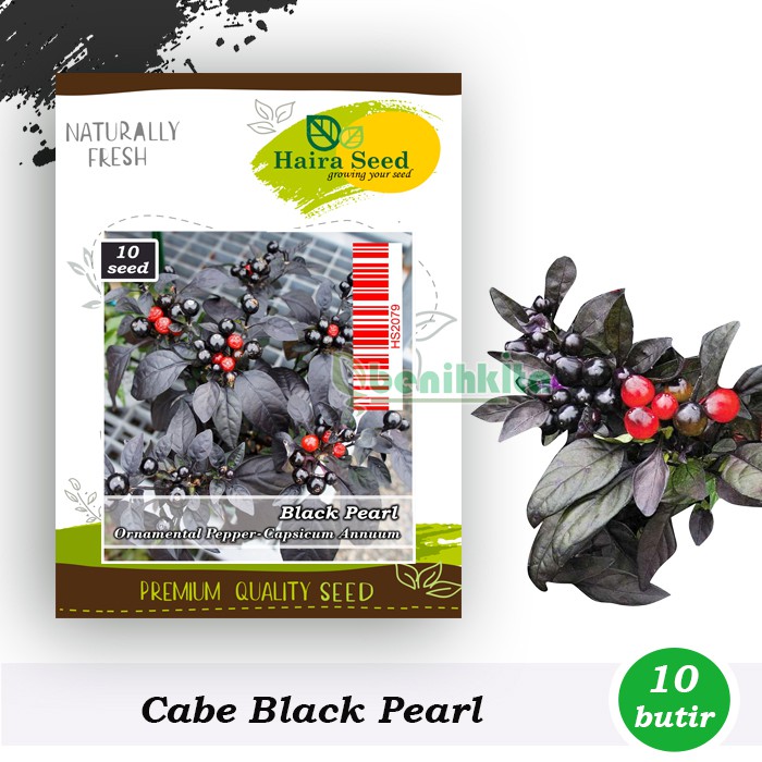 Benih-Bibit Cabe Hias Black Pearl (Haira Seed)