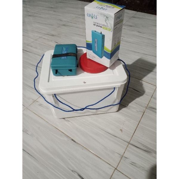 Box udang hidup  serba guna