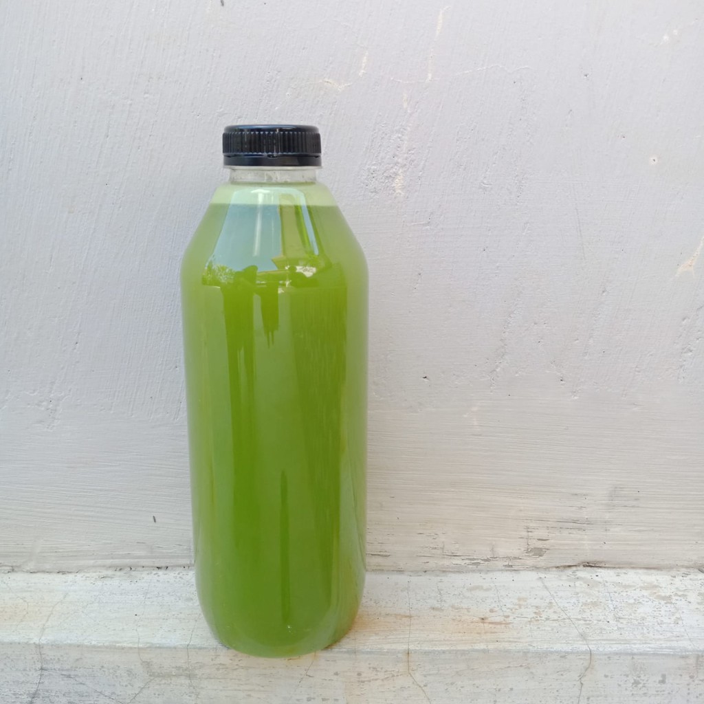 

Pure Celery Juice 500 Ml