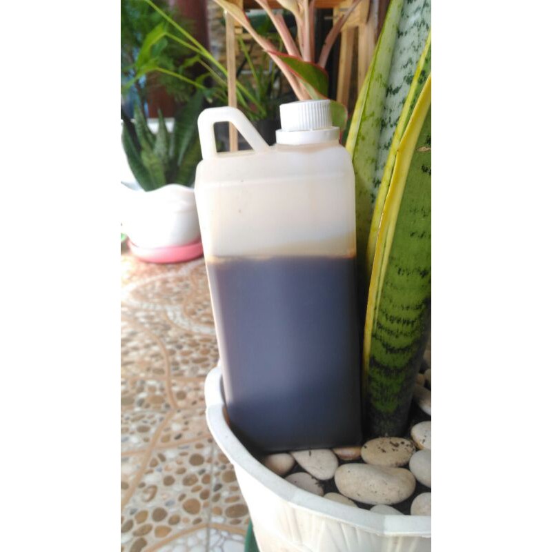 

Madu hitam pahit netto 1000 gram