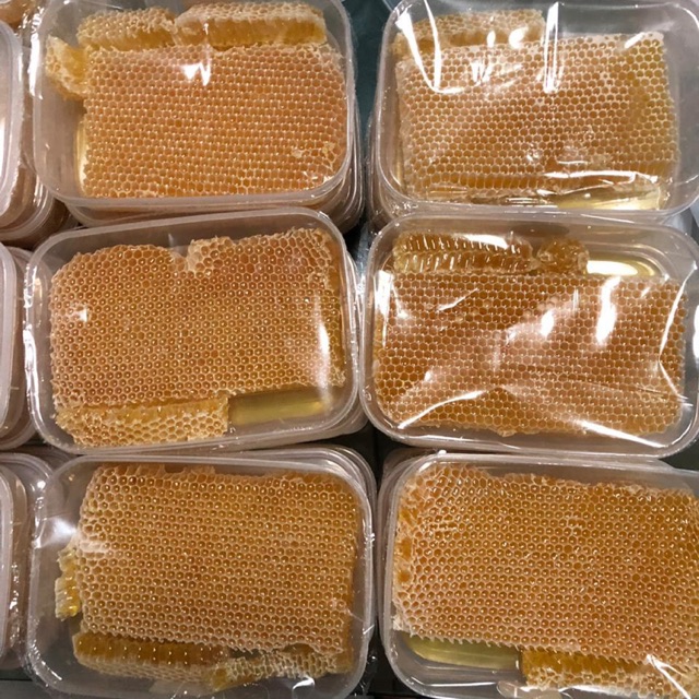 

Honeycomb 500gram (madu + sarang)